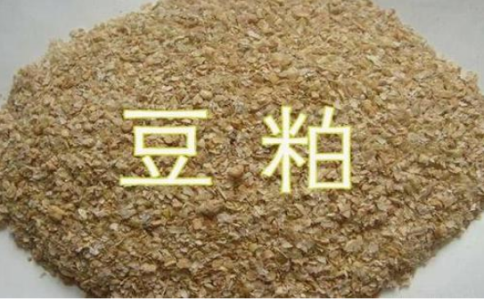 豆粕期貨是屬于熱門品種嗎？豆粕開