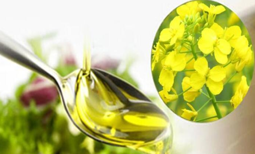 菜粕期貨買入手續(xù)費支出額度低嗎？