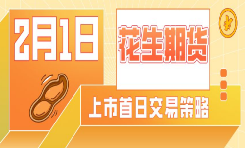 花生期貨的手續費是多少？