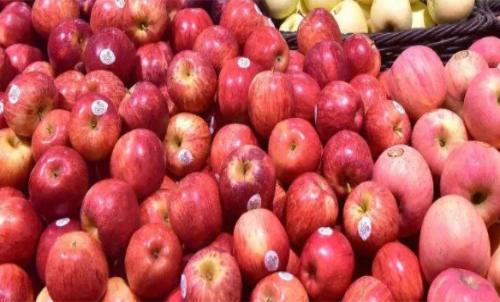 蘋果期貨的手續費在平今倉會有優惠