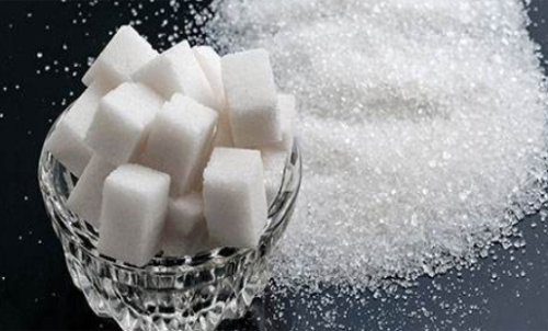 白糖期貨的手續(xù)費(fèi)在平今倉(cāng)中有沒有